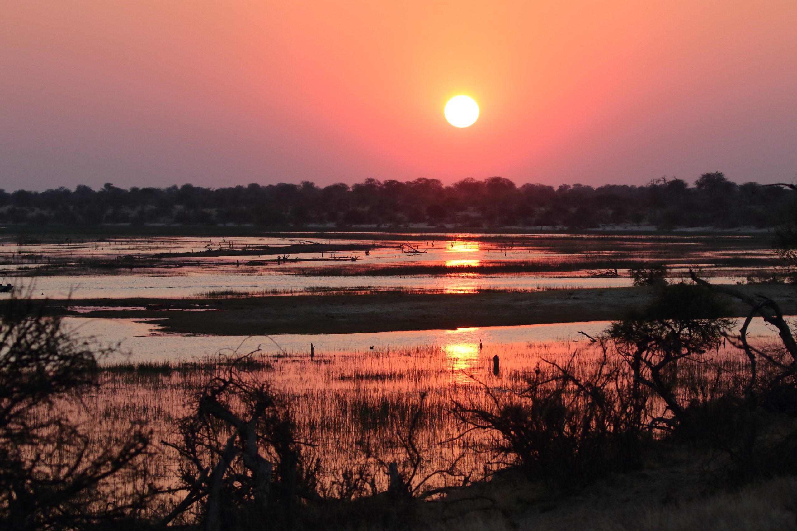 Moremi game reserve