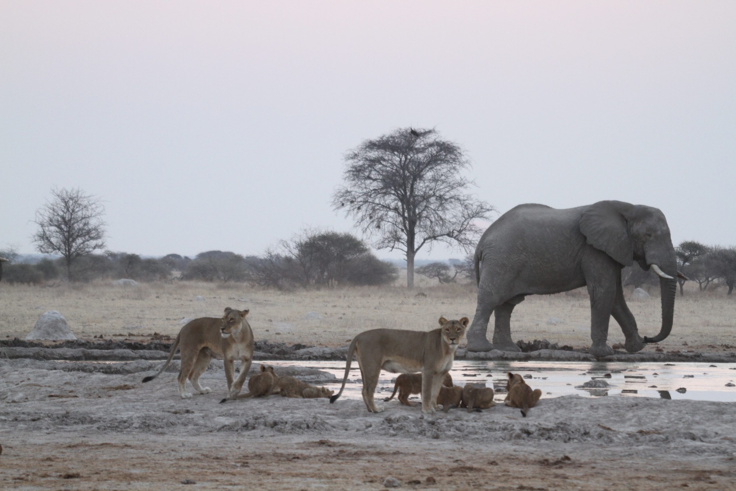 Nxaipan national park -2 (1)
